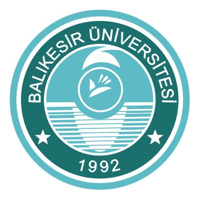 Feyza Koştur - YPA Öğrenci Yorumu
